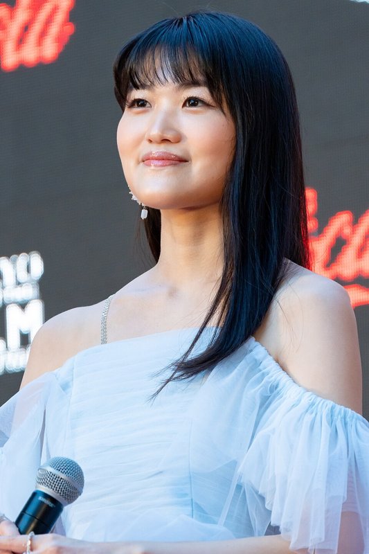 Yachiyo Japanese voice actor